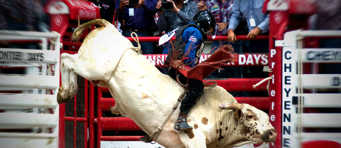 A cowboy wearing a helmet riding a bull in front of white bucking chutes.